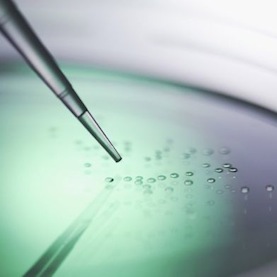 07/26/13 chemically induced pluripotent stem cells stem cells