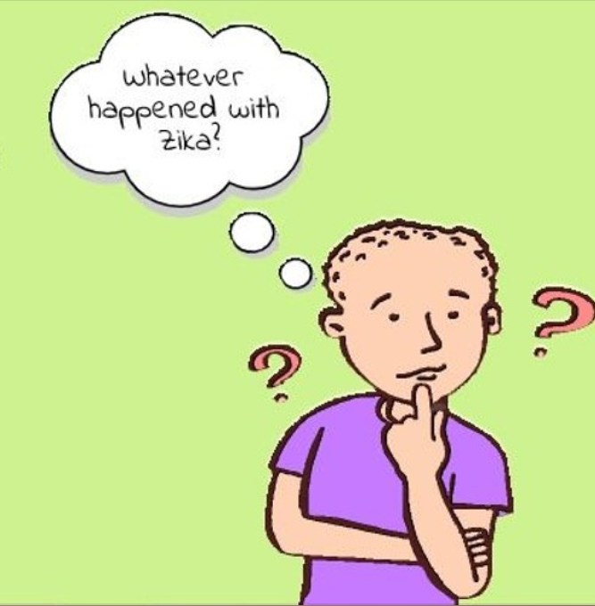 Whatever Happened with Zika?